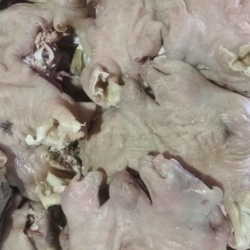水褪山羊头肉