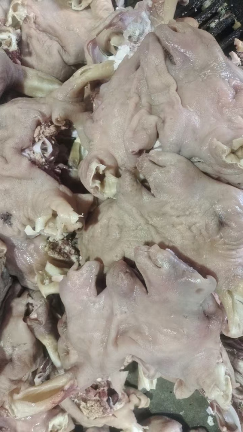 水褪山羊头肉