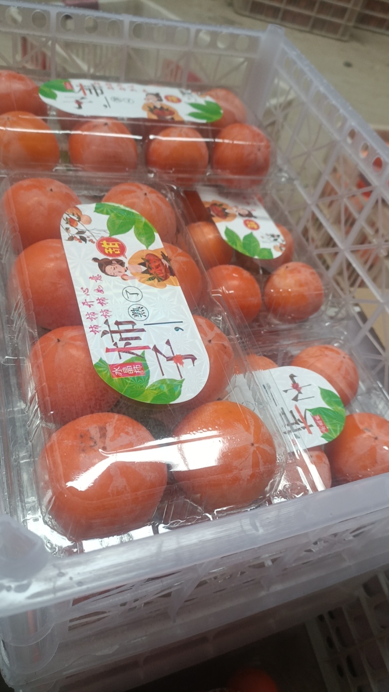 火葫芦柿子大量供应产地发货量大从优质量保证欢迎咨询