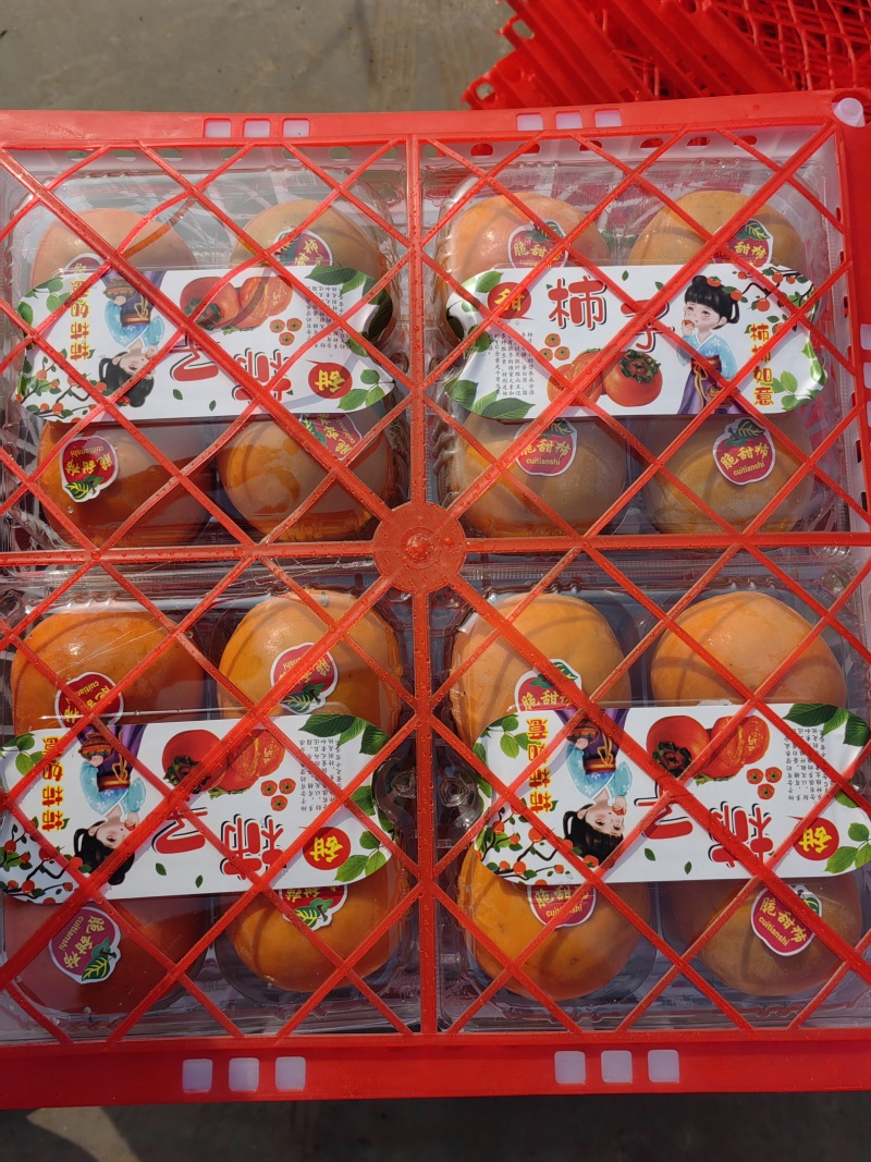 火葫芦柿子大量供应产地发货量大从优质量保证欢迎咨询