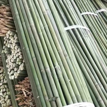 小竹子竹竿山竹菜架竹竿插旗彩旗豆角黄瓜爬藤架