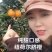 纽荷尔脐橙，果园看货采摘，纯甜无酸，大量有货！