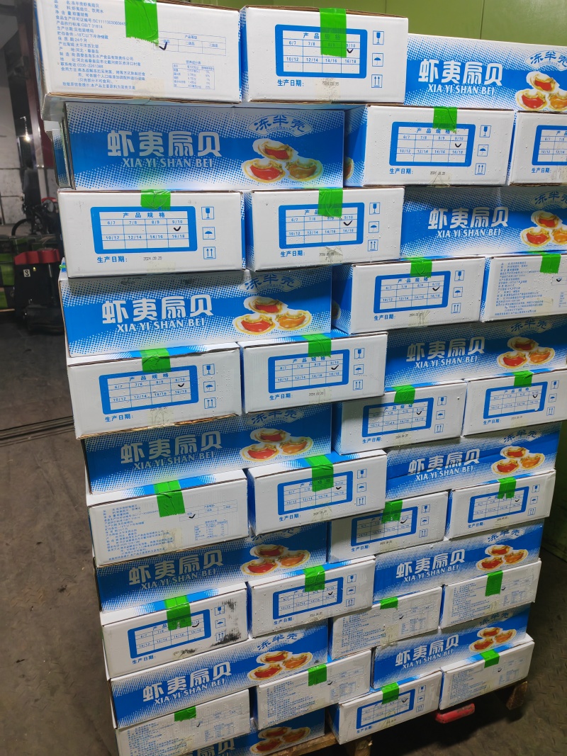 夏夷扇贝，原汁贝，吊笼贝，原汁贝，精品大贝