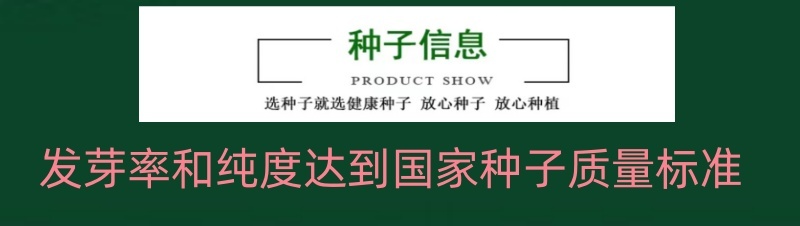 四季香葱分多多