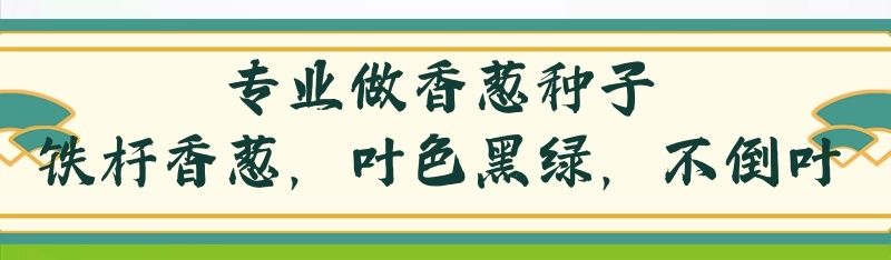 四季香葱分多多