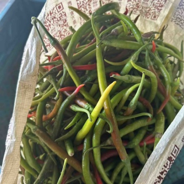 花线椒