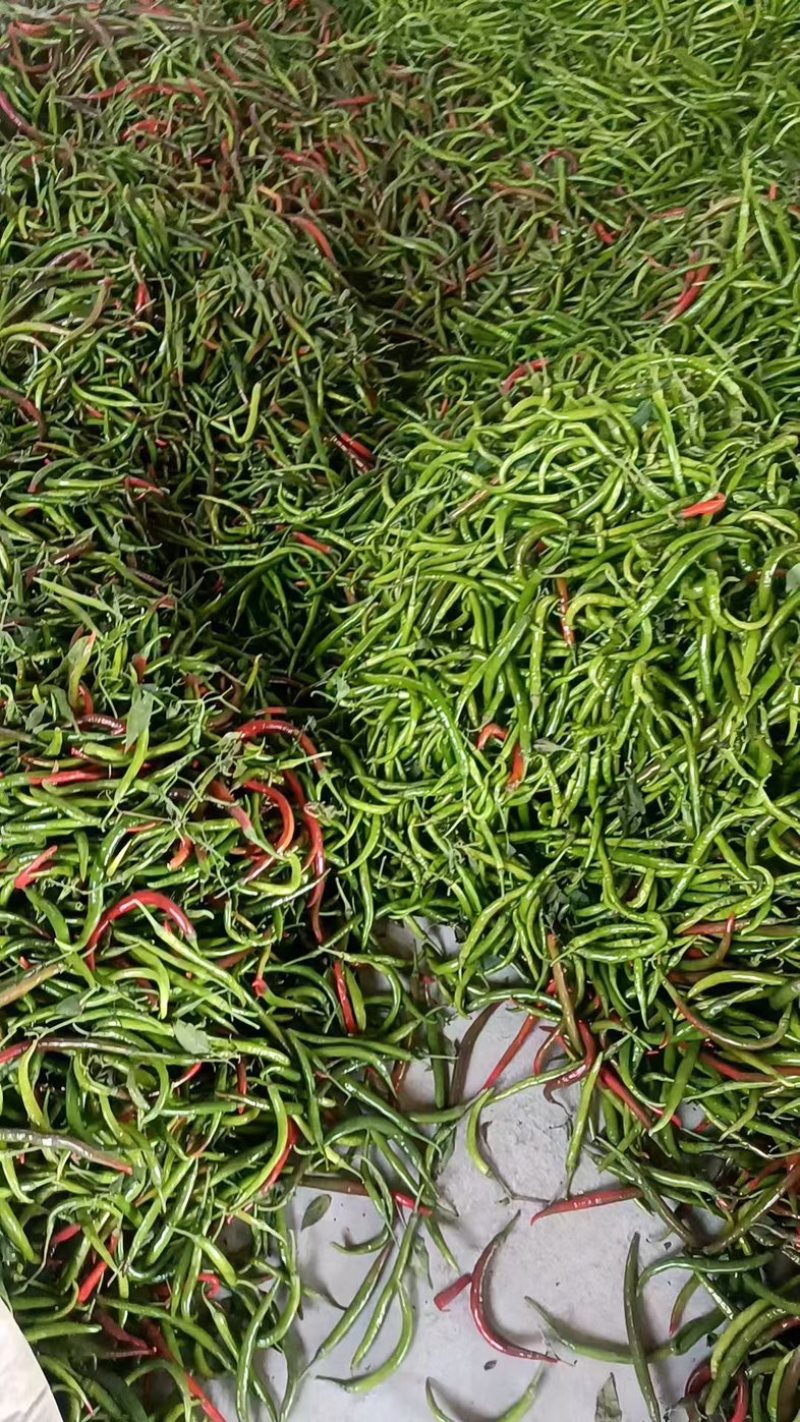 花线椒