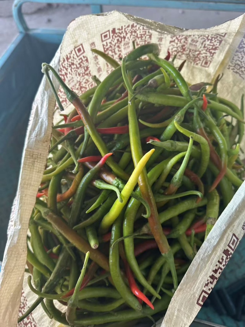 花线椒
