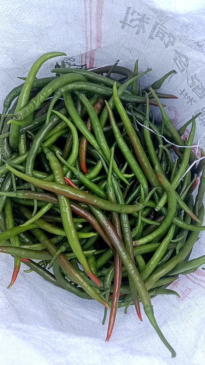 花线椒