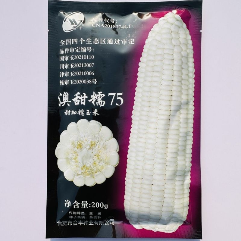 澳甜糯75白糯玉米种子早熟大棒甜加糯春秋白糯粘玉米苞米种