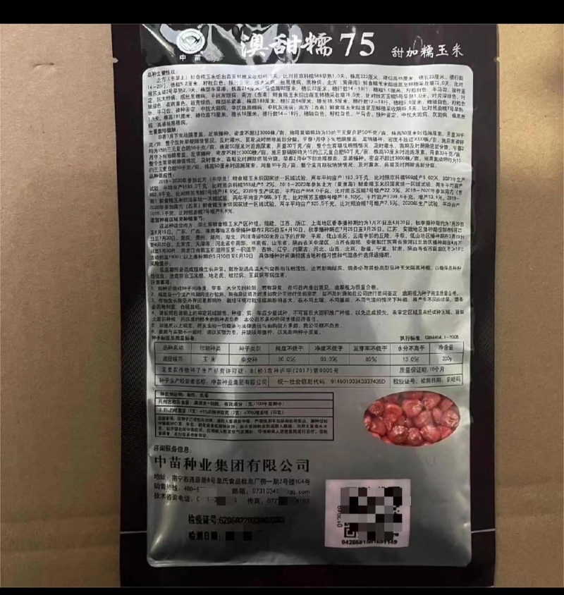 澳甜糯75白糯玉米种子早熟大棒甜加糯春秋白糯粘玉米苞米种