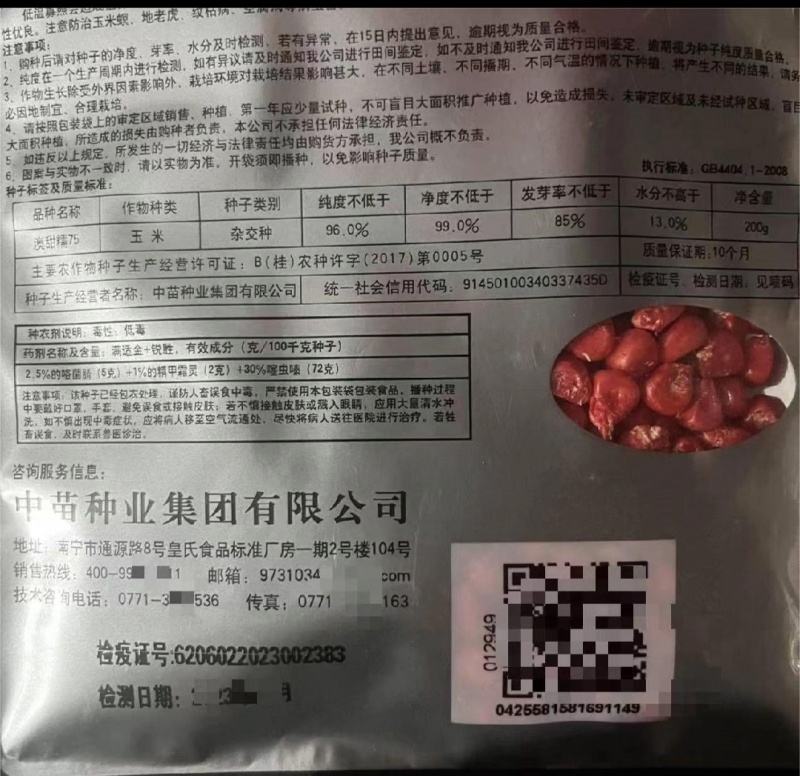澳甜糯75白糯玉米种子早熟大棒甜加糯春秋白糯粘玉米苞米种