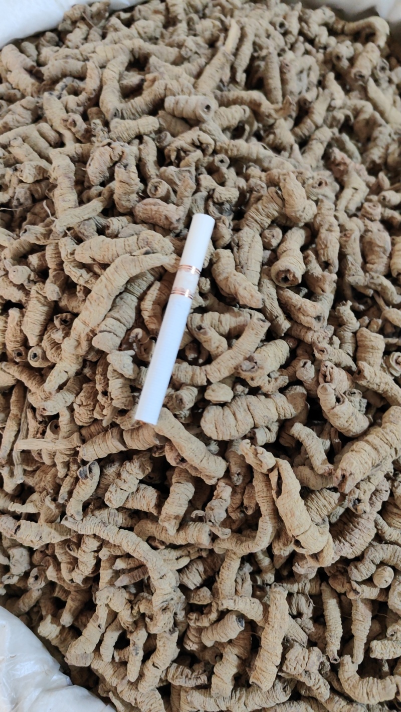 巴戟天野生抽芯精品巴戟天产地直销无任何添加高含量