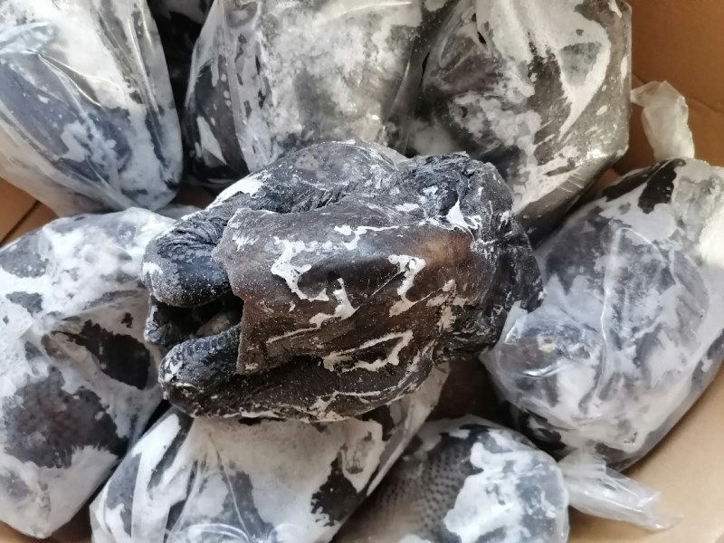乌鸡（规格齐全）