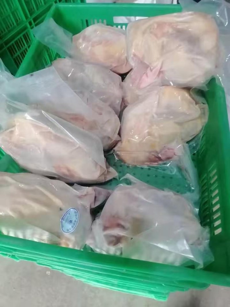 真空包装老母鸡（规格齐全）