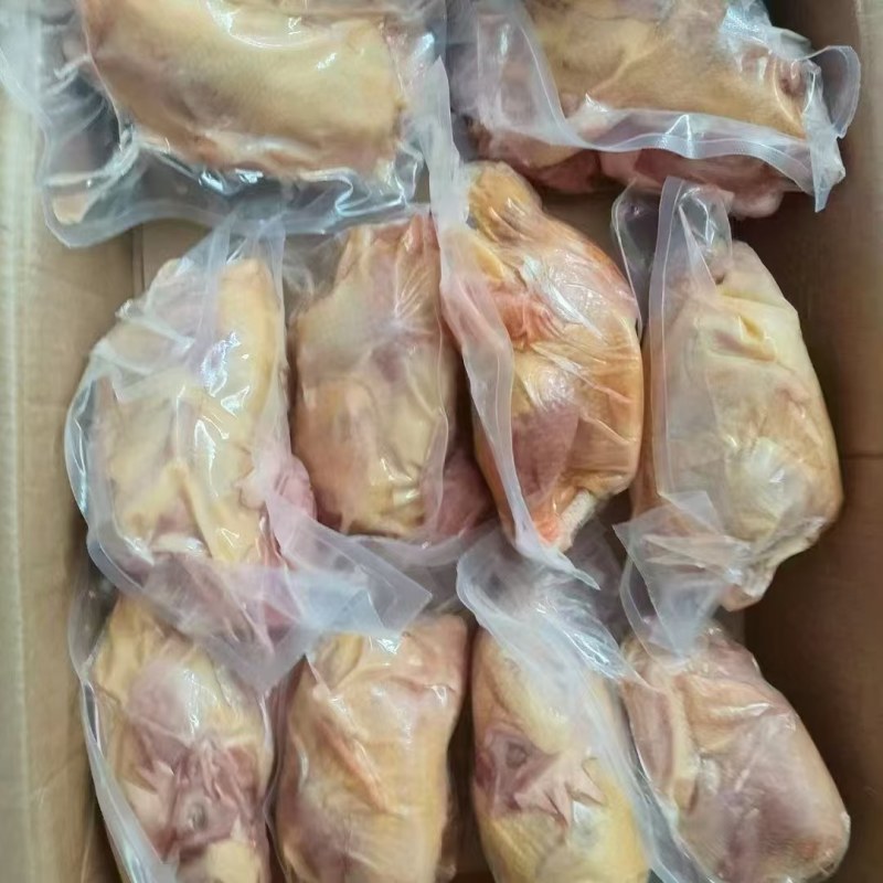 真空包装老母鸡（规格齐全）