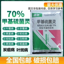 甲基硫菌灵炭疽病黑星病疮痂病斑点落叶病轮纹病