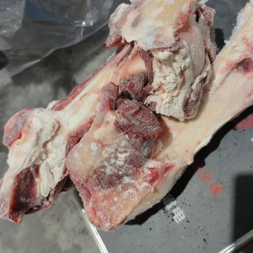 带筋牛腿骨价格5元/斤40斤抄码带筋带肉牛肉汤店用