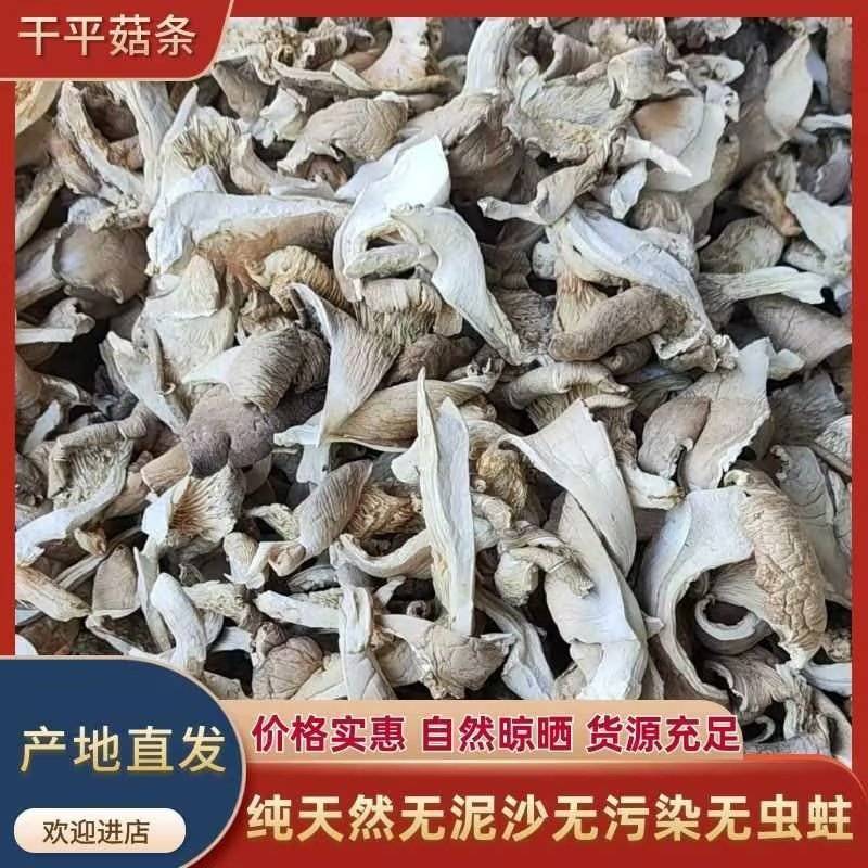 【2026】新货常年供应平菇条平菇块精品平菇条产地直供