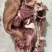 【熟牛脸肉】货源充足量大从优质量保证欢迎咨询