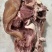 【熟牛脸肉】货源充足量大从优质量保证欢迎咨询