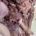 【熟牛脸肉】货源充足量大从优质量保证欢迎咨询