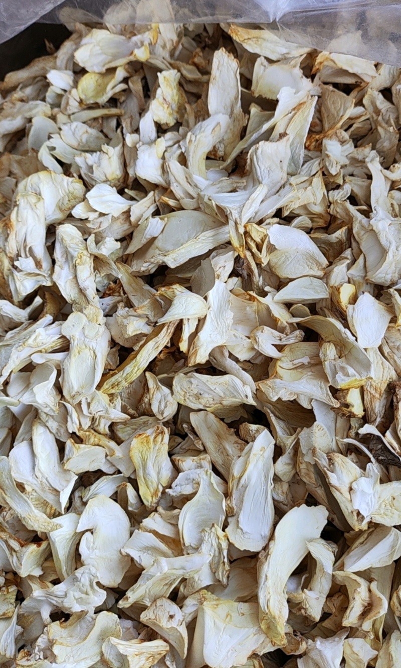 泌阳杏鲍菇干片菌汤包，厂家直销价格实惠菌汤包代加工
