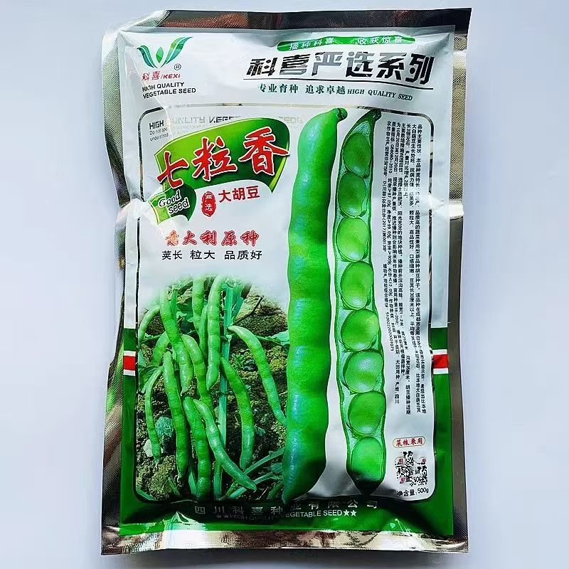 高产蚕豆种子北斗七星罗汉豆种籽春秋冬季播种早熟耐寒