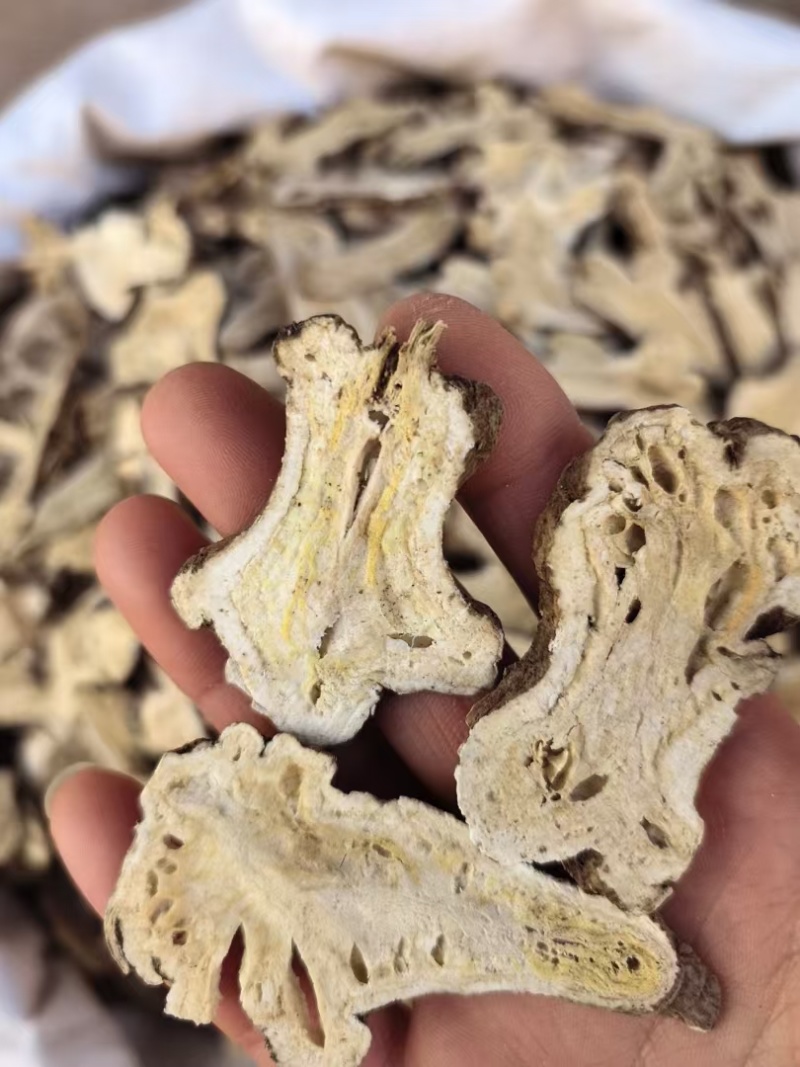 白术亳州白术新货蜂窝片