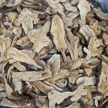 白术亳州白术新货蜂窝片