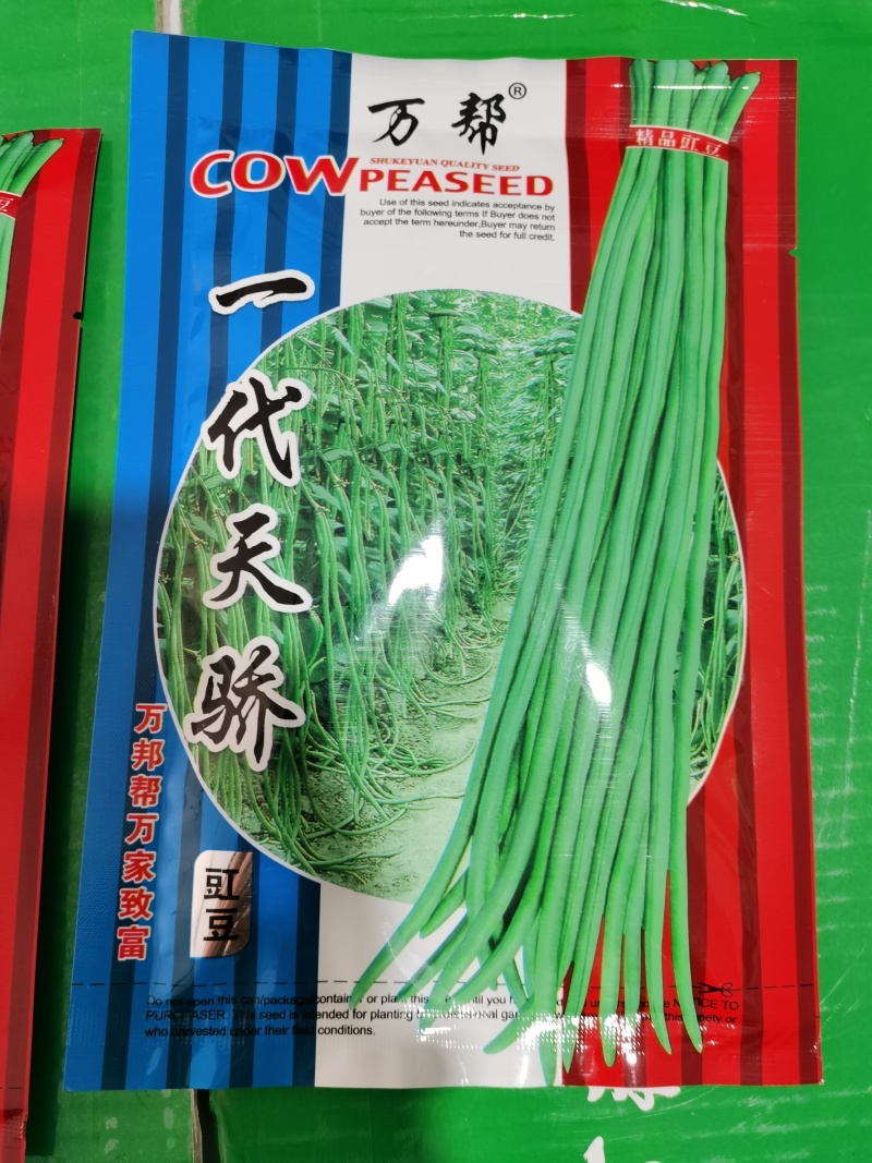 小叶翠柳东方龙翠绿条优质丰产长豆角种子