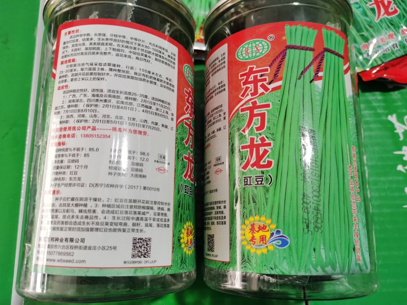小叶翠柳东方龙翠绿条优质丰产长豆角种子