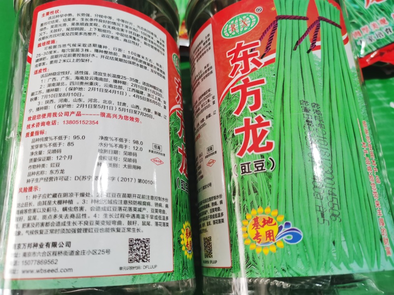 小叶翠柳东方龙翠绿条优质丰产长豆角种子