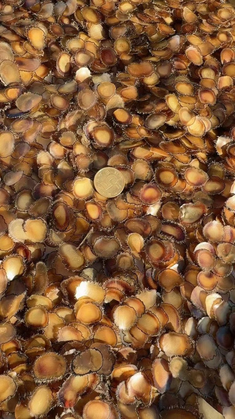 《吉林鹿业》梅花鹿腊片鲜鹿茸片诚信经营，客户至上！
