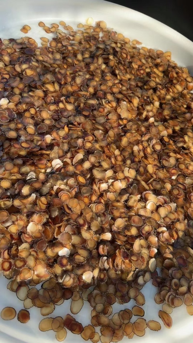 《吉林鹿业》梅花鹿腊片鲜鹿茸片诚信经营，客户至上！