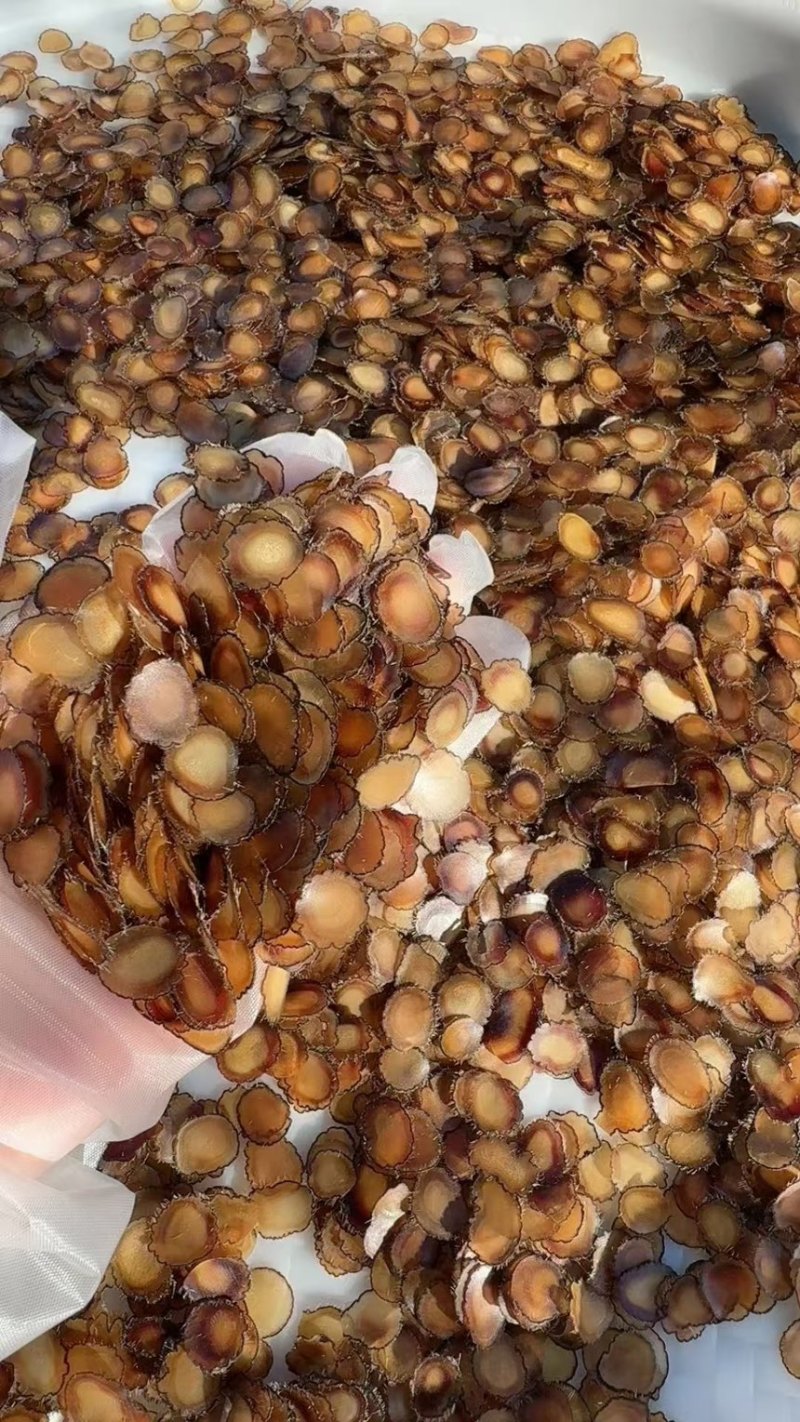 《吉林鹿业》梅花鹿腊片鲜鹿茸片诚信经营，客户至上！