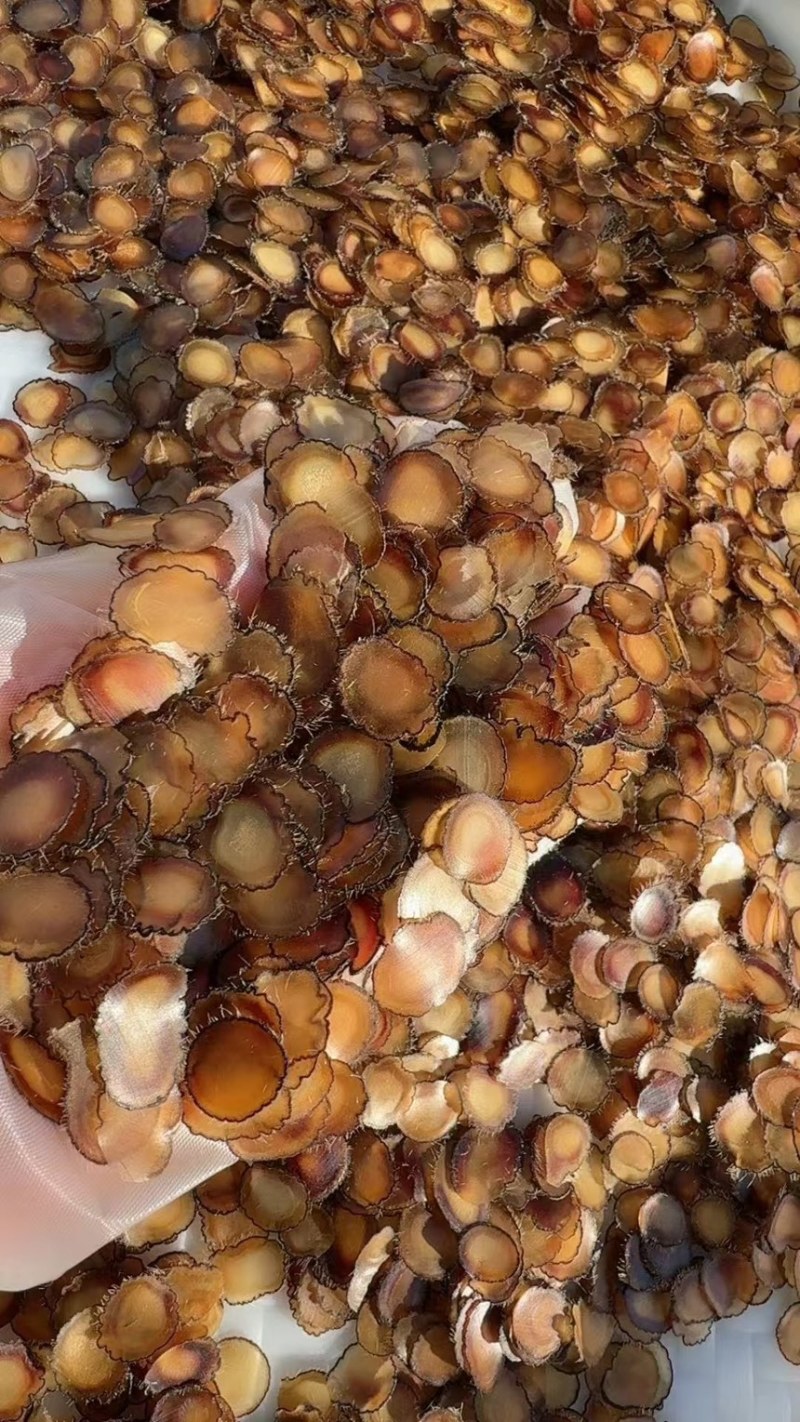《吉林鹿业》梅花鹿腊片鲜鹿茸片诚信经营，客户至上！