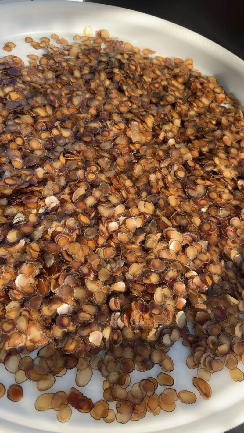 《吉林鹿业》梅花鹿腊片鲜鹿茸片诚信经营，客户至上！