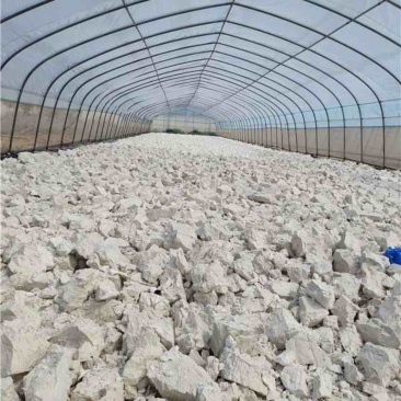 淀粉货源充足，产地直发，诚信经营，欢迎客商来电