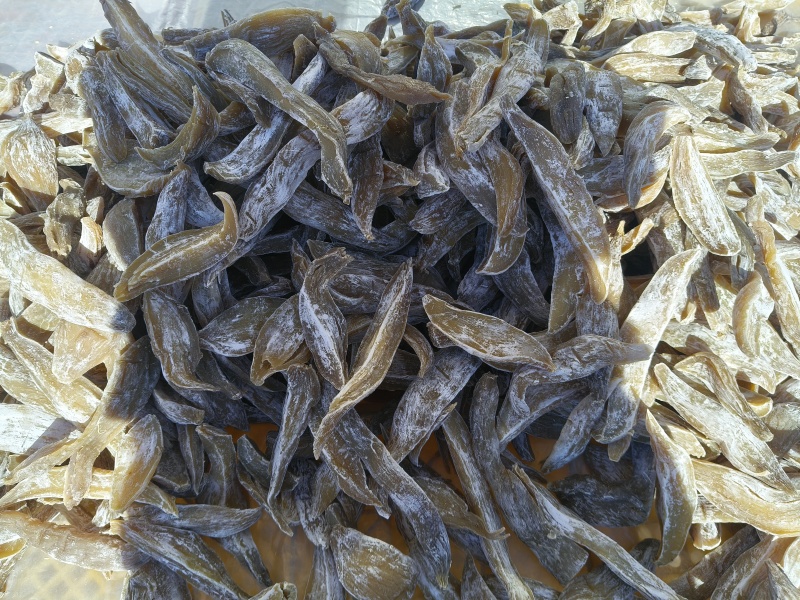 荣成蜂蜜罐地瓜干，10元/斤无坏无硬，质量保证