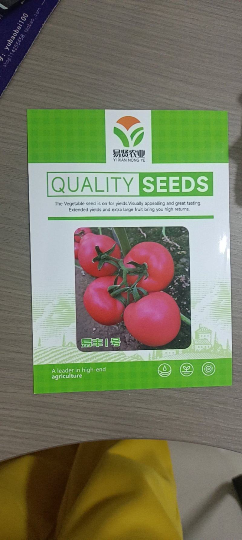 越冬进口番茄种子抗寒硬粉大果西红柿口感好抗病毒高产耐运输