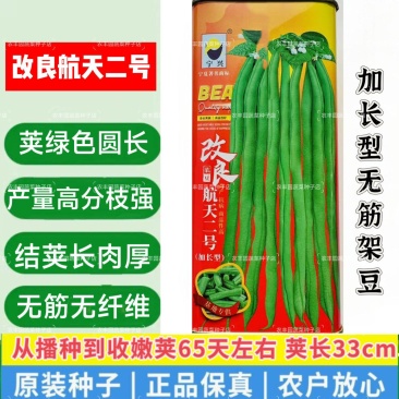 改良航天二号架豆种子加长型泰国无筋豆种子基地专用菜豆种籽