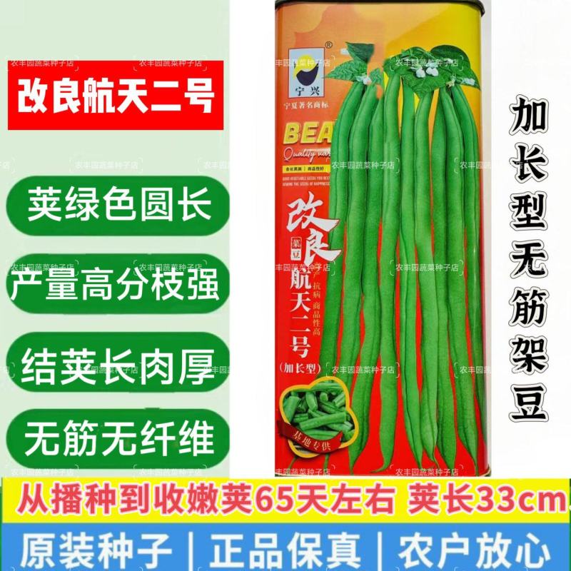 改良航天二号架豆种子加长型泰国无筋豆种子基地专用菜豆种籽
