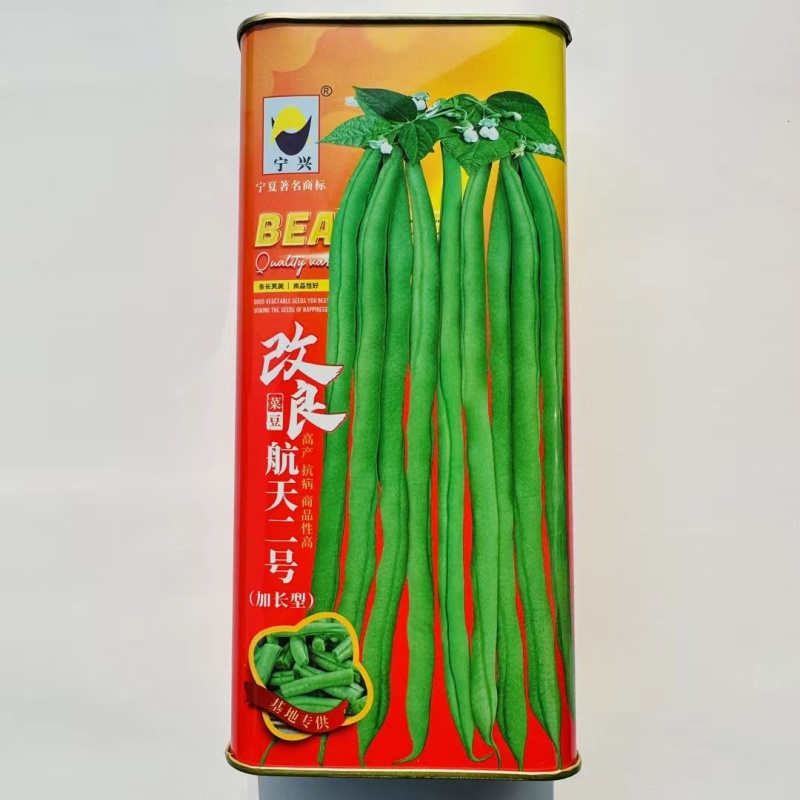改良航天二号架豆种子加长型泰国无筋豆种子基地专用菜豆种籽