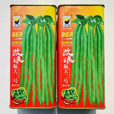 改良航天二号架豆种子加长型泰国无筋豆种子基地专用菜豆种籽