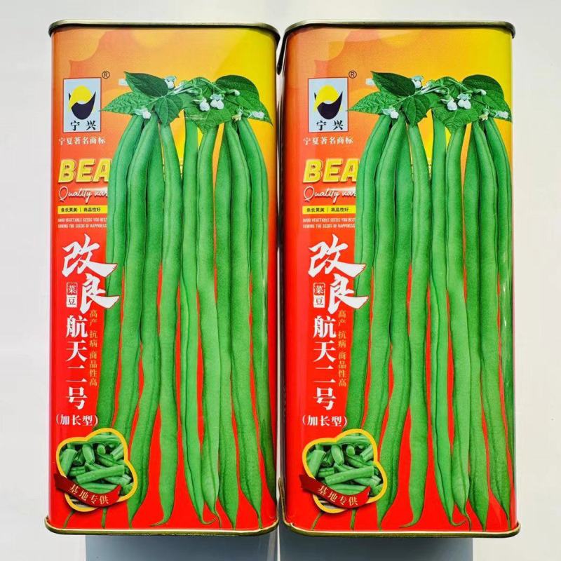 改良航天二号架豆种子加长型泰国无筋豆种子基地专用菜豆种籽