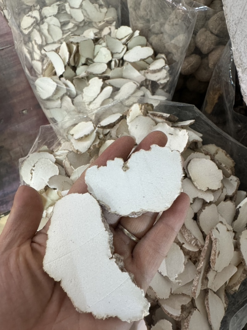 虎乳菌，产地直达，一手货源，价格优势