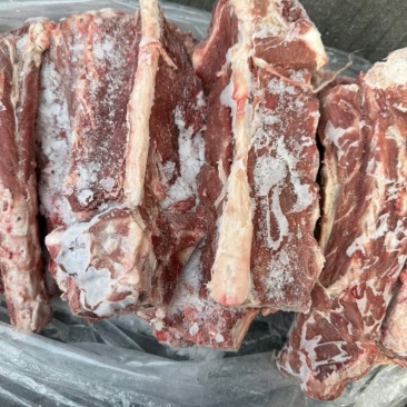 多肉羊蝎子
