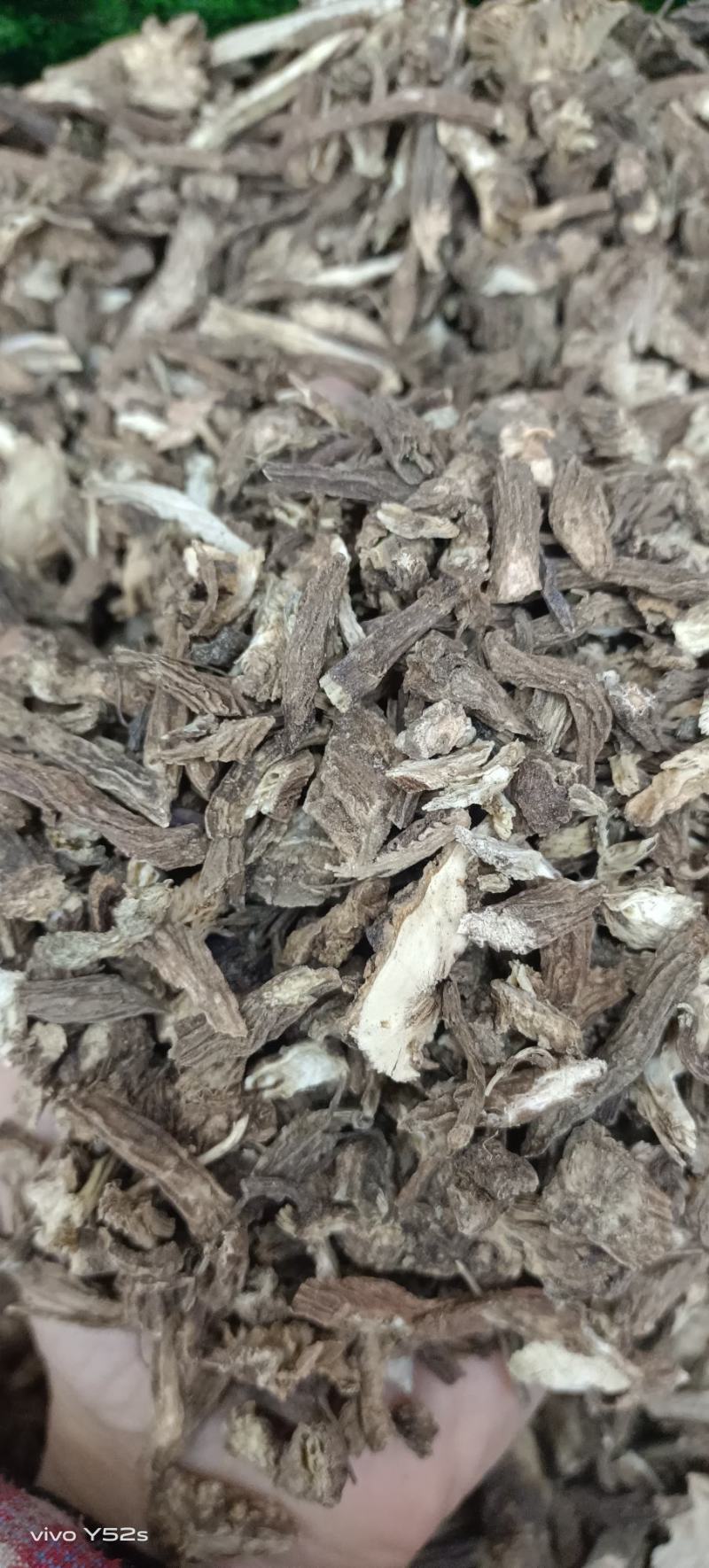 续断，各种中药常用和冷背药材实体拍摄