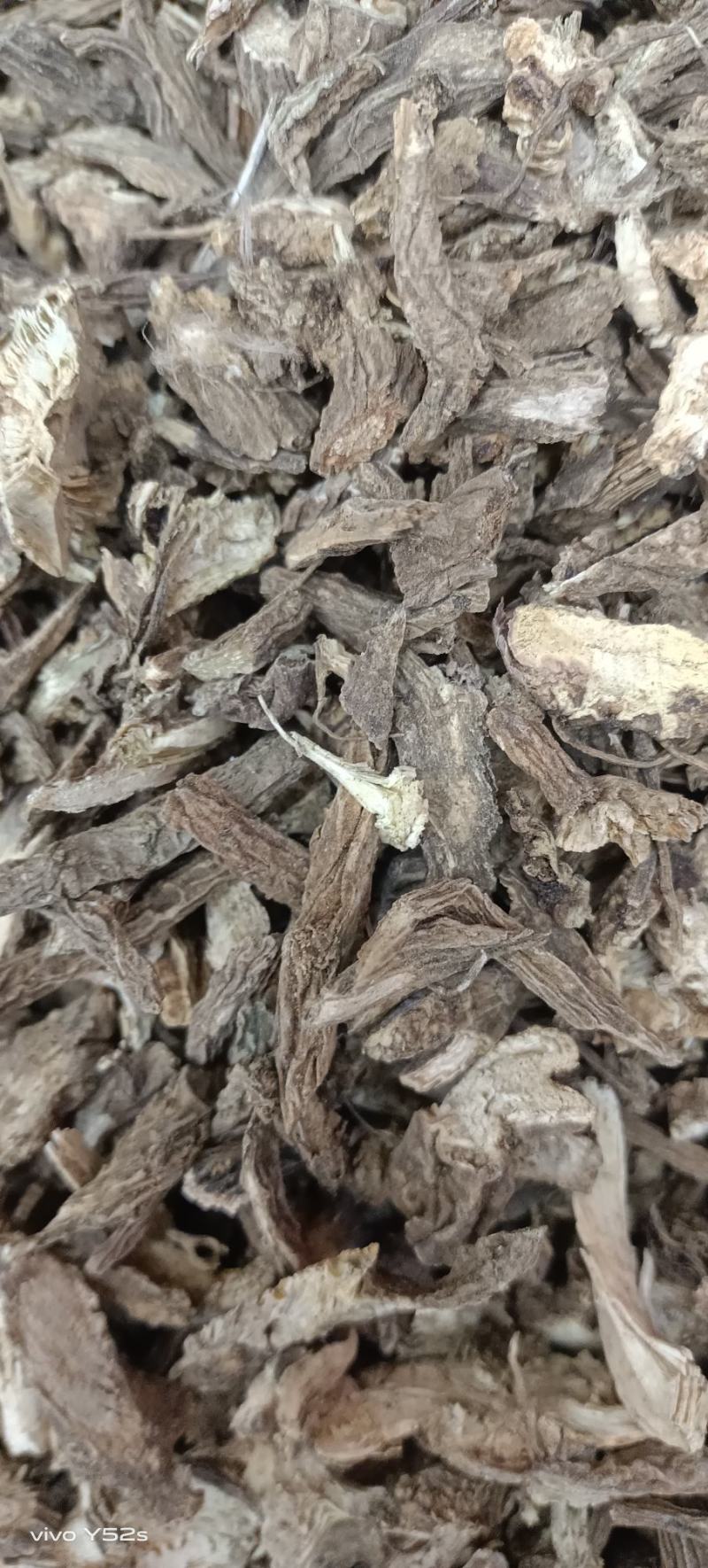 续断，各种中药常用和冷背药材实体拍摄